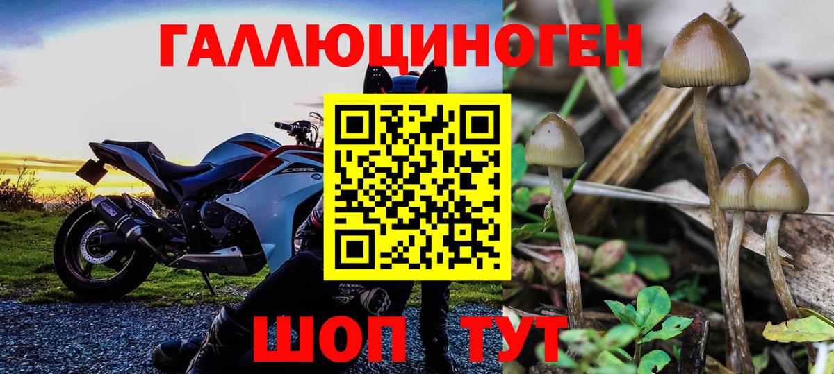 Псилоцибиновые грибы MAGIC MUSHROOMS Чита